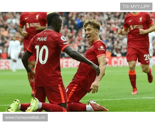 范戴克:后场长传发动进攻的核心枢纽解析 范戴克:后场长传发动进攻的核心枢纽解析