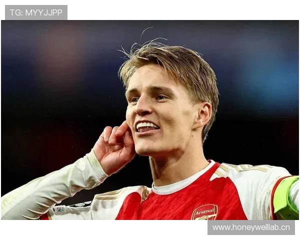 B费与厄德高:体系核心角色差异解析 B费与厄德高:体系核心角色差异解析