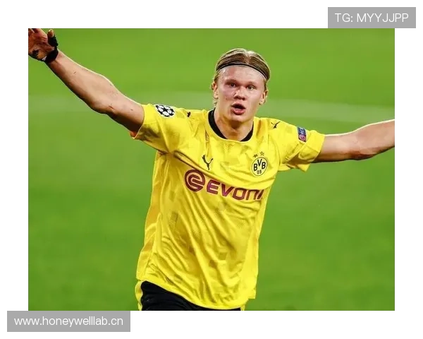 哈兰德与卡瓦尼跑位能力对比:猎手直觉与战术作用差异解析 哈兰德与卡瓦尼跑位能力对比:猎手直觉与战术作用差异解析