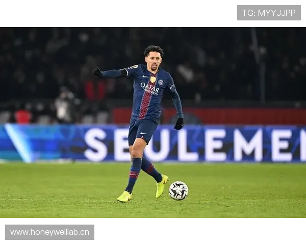 范戴克与马尔基尼奥斯：稳定性与全面性对比分析