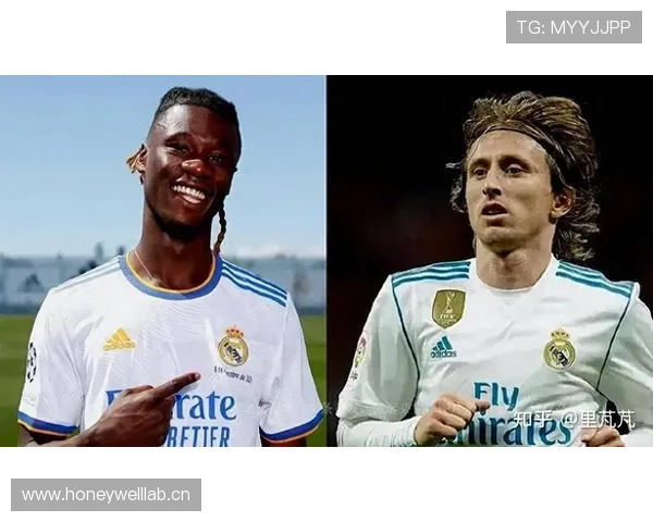 卡马文加:对比楚阿梅尼——机动性与覆盖能力的差异