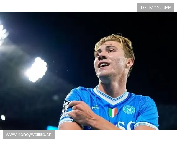 阿尔瓦雷斯与霍伊伦：新生代中锋进攻效率及战术角色对比