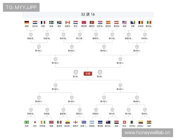 巴西世界杯32强赛程回顾：对阵日本比赛信息整理